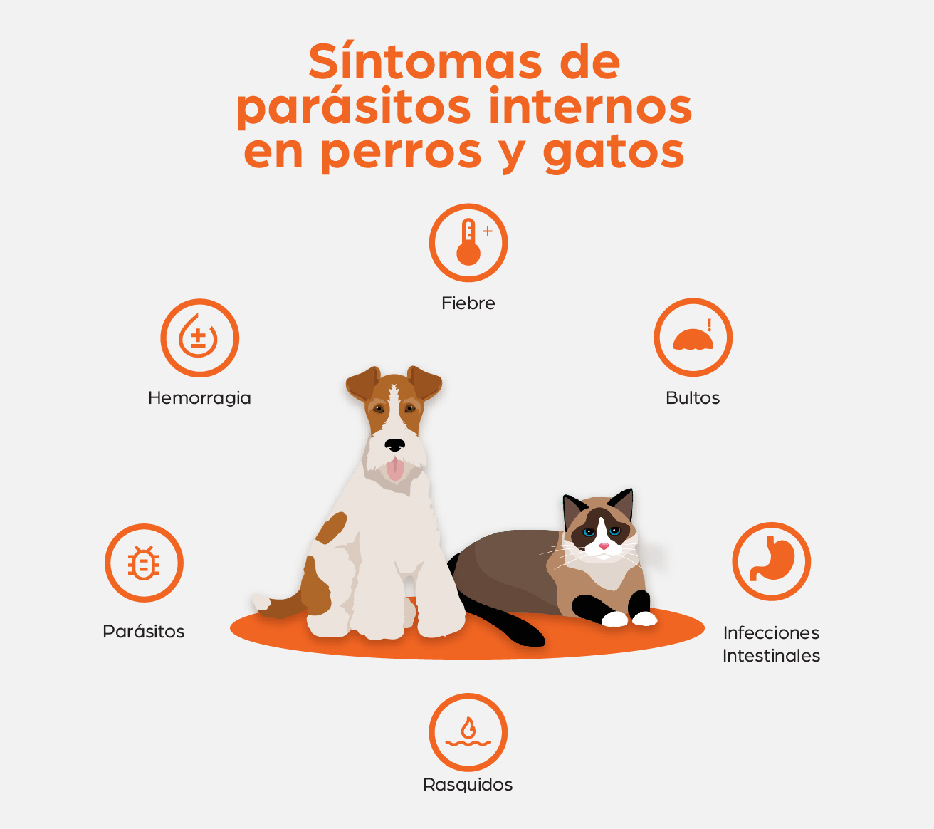 pueden los humanos contraer gusanos de perro